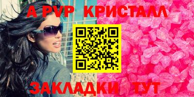 стафф Гатчина