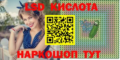 стафф Гатчина