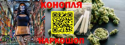 стафф Гатчина