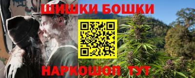 стафф Гатчина
