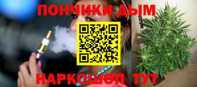 гидра Гай