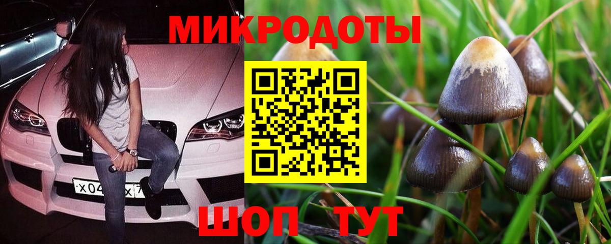 Галлюциногенные грибы мухоморы  Вход с VPN  где продают наркотики  Торжок 