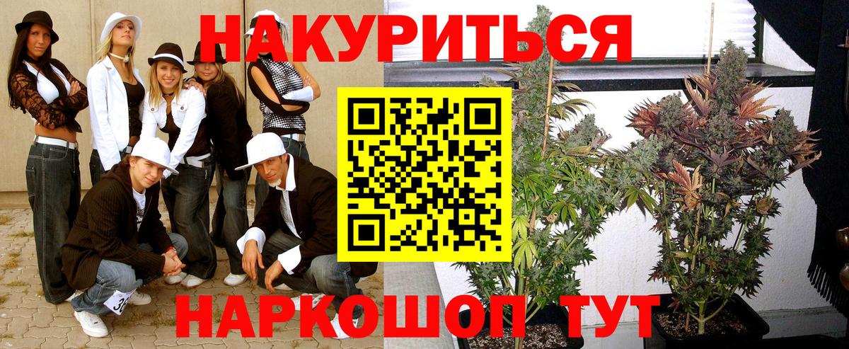 Бошки марихуана план Торжок
